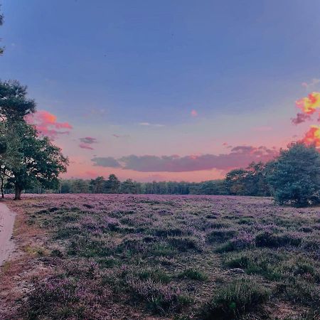 Sluwe Vos: Ontspannen In Het Bos! Otterlo Zewnętrze zdjęcie