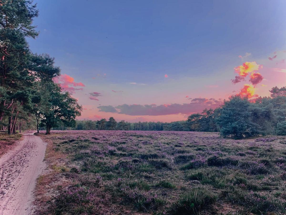 Sluwe Vos: Ontspannen In Het Bos! Otterlo Zewnętrze zdjęcie