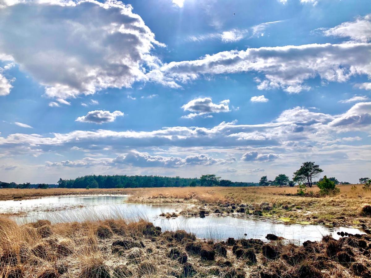 Sluwe Vos: Ontspannen In Het Bos! Otterlo Zewnętrze zdjęcie