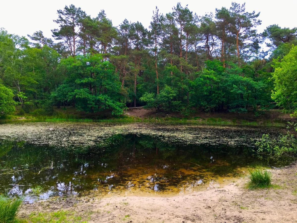Sluwe Vos: Ontspannen In Het Bos! Otterlo Zewnętrze zdjęcie